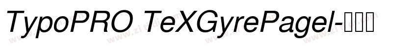 TypoPRO TeXGyrePagel字体转换